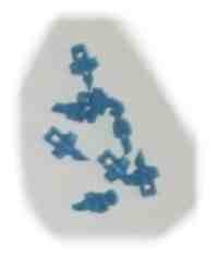 Blue Jet Spray Nozzle 360